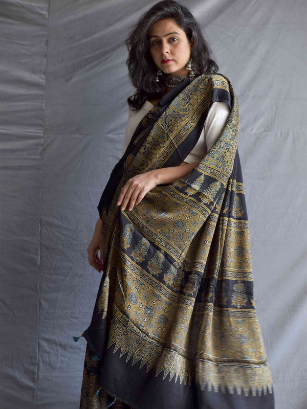 Megalodon - Ajrakh hand block printed Modal Silk Saree