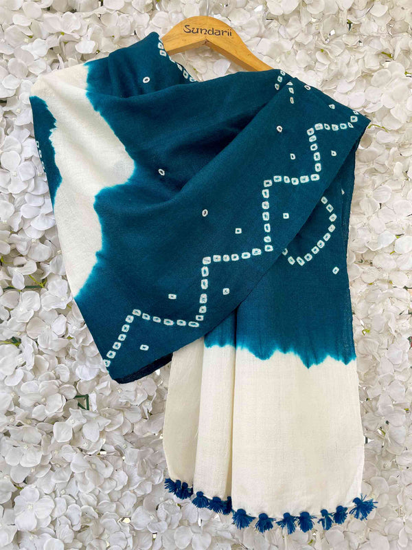 Buy Blue Handloom Merino Wool Embroidered Stole Online