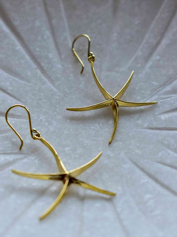 Star fish - Earrings