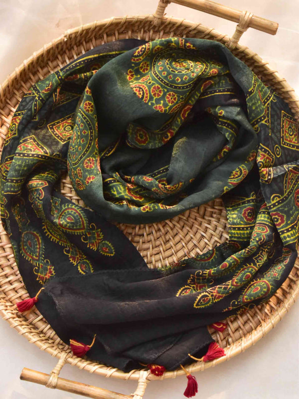 Nurture - Ajrakh hand block printed Mashru silk stole