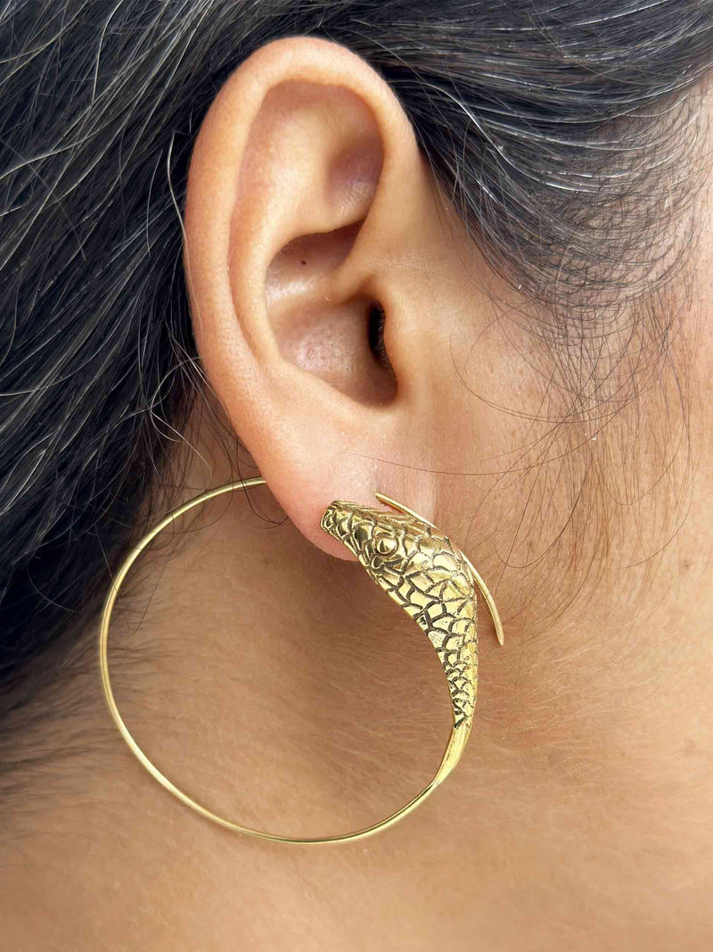 Sensational snake - hoops