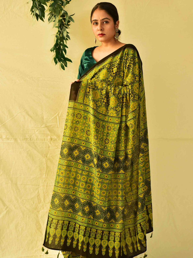 Andheria -  Ajrakh hand block printed mul cotton saree