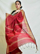 Rudraksh - cotton saree with woven border