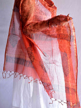 rustic -  Kota Doria Dupatta