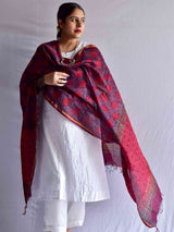 Rang de  - chanderi silk Dupatta