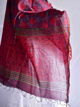 Rang de  - chanderi silk Dupatta