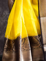 Kanha - Linen zari Saree