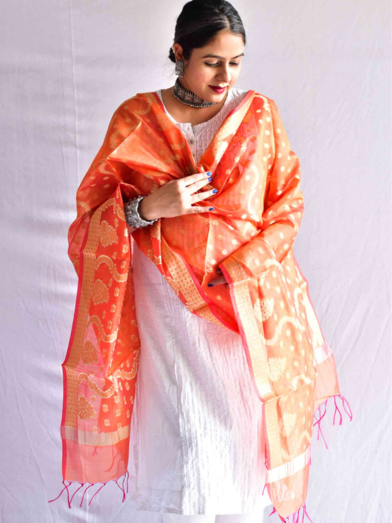 Narang - Brocade cotton silk Dupatta